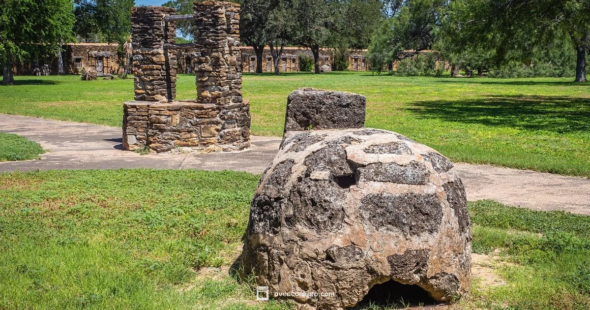 Standard Size - Oven Cook Pro