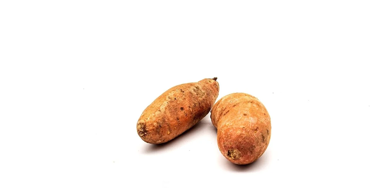 Sweet Potato Baking - Oven Cook Pro