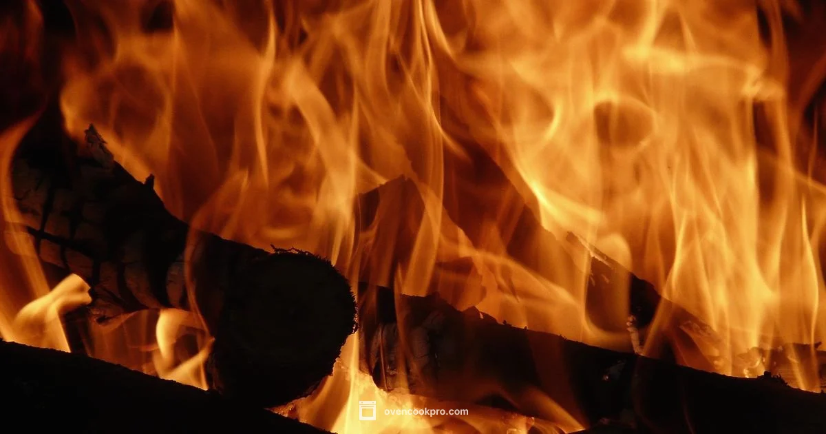 Oven Heating Basics - Oven Cook Pro