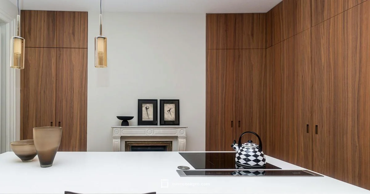 Induction Ovens Guide - Oven Cook Pro