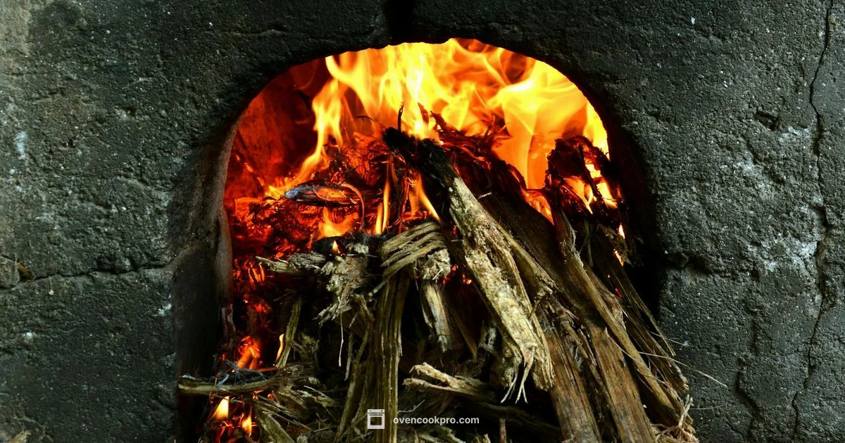 Oven Element Safety - Oven Cook Pro