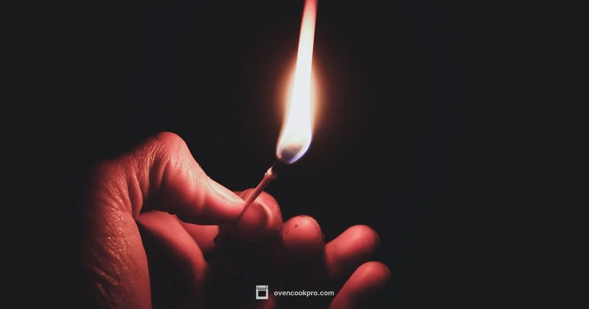 Blue Flame Basics - Oven Cook Pro