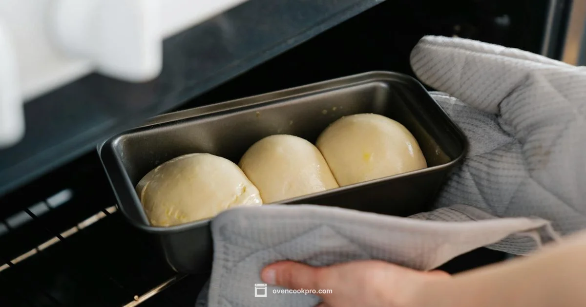 Oven Door Gasket Guide - Oven Cook Pro