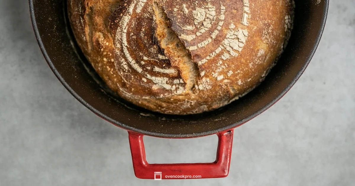 Le Creuset Dutch Oven - Oven Cook Pro