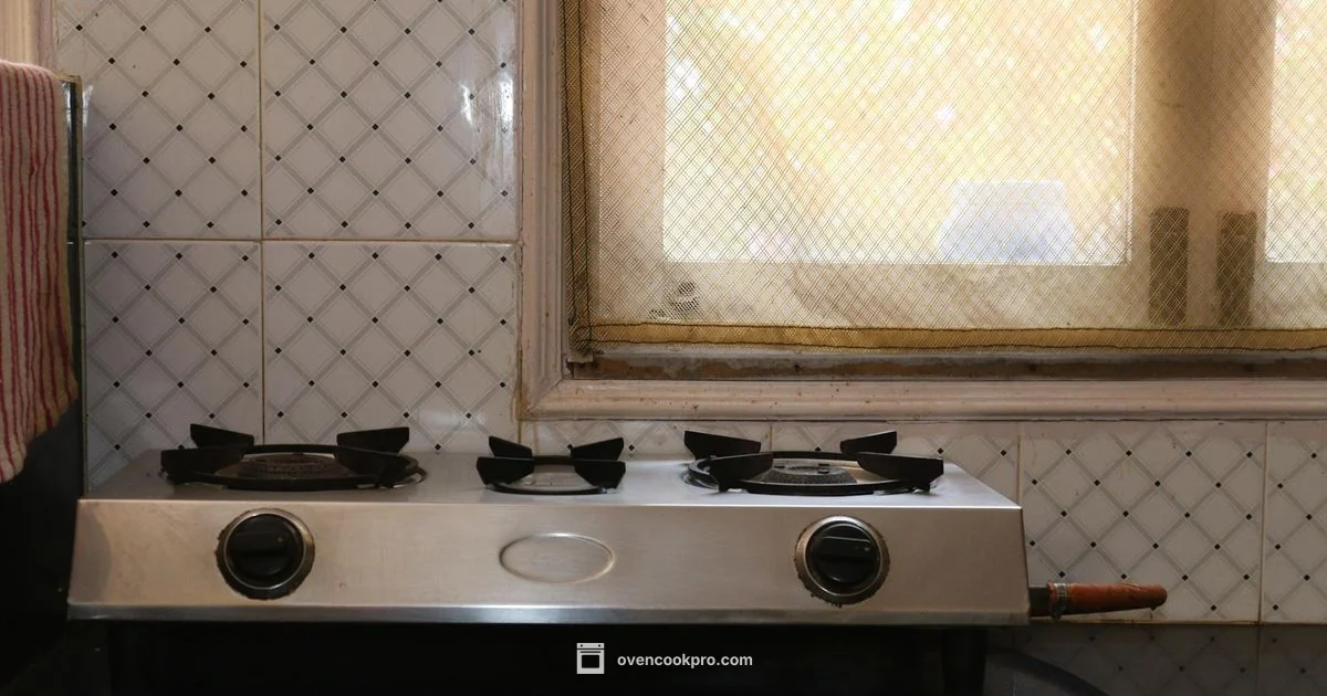 Gas vs Electric Oven - Oven Cook Pro