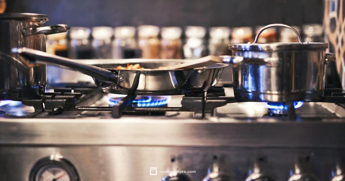 Oven Broiling Basics - Oven Cook Pro