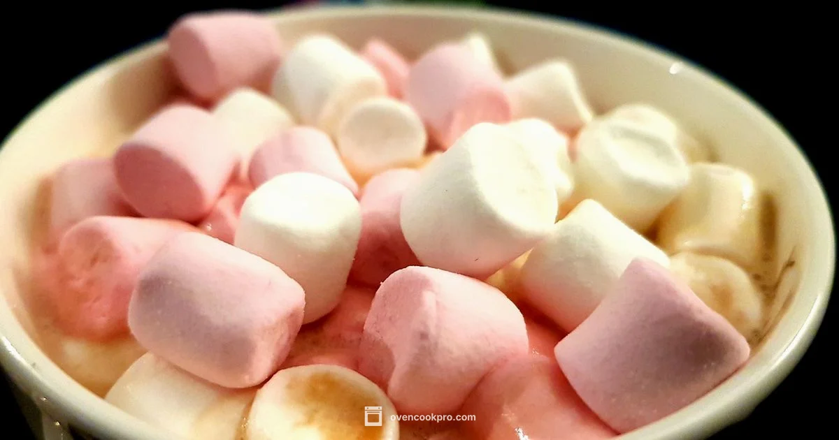 Oven S'mores Made Easy - Oven Cook Pro