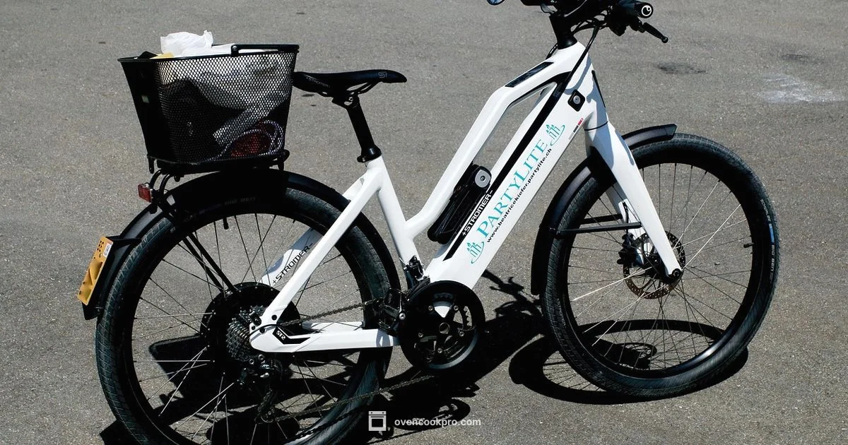 GE Electric Stove Guide - Oven Cook Pro