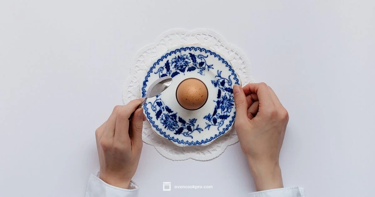 Oven Safe Plates - Oven Cook Pro