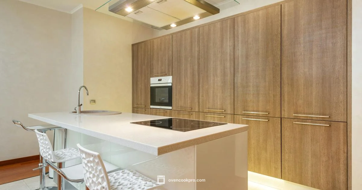 Built In 24 Inch Oven - Oven Cook Pro