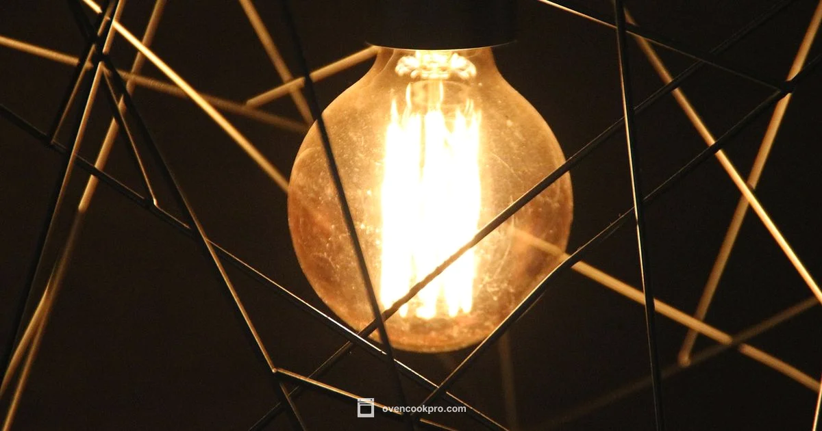 Oven Light Bulbs - Oven Cook Pro