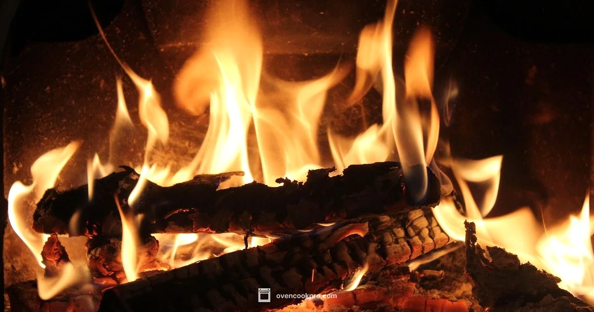 Roast vs Bake - Oven Cook Pro