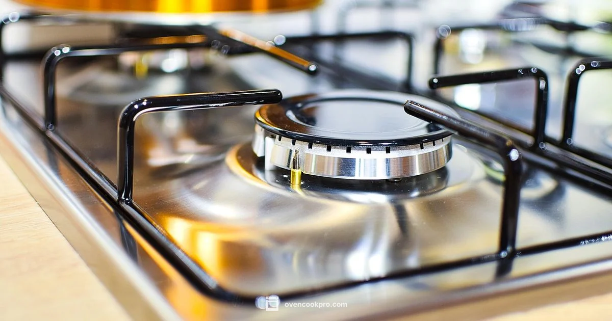 Oven Self Clean Explained - Oven Cook Pro