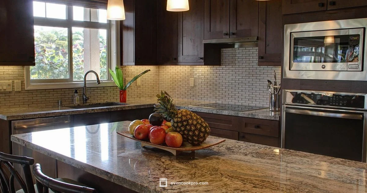 Best Toaster Ovens 2026 - Oven Cook Pro