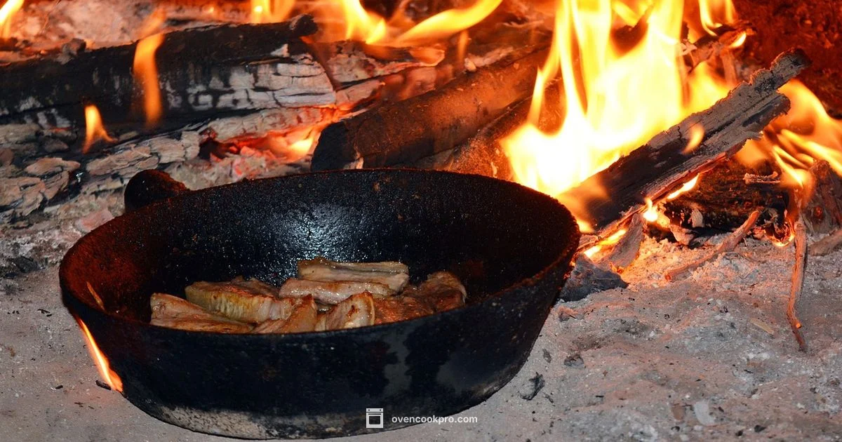 Oven-Safe Pan Guide - Oven Cook Pro
