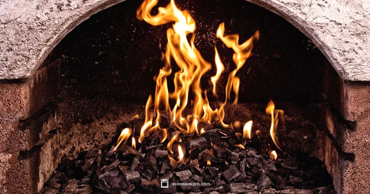 Oven & Grill Clean - Oven Cook Pro