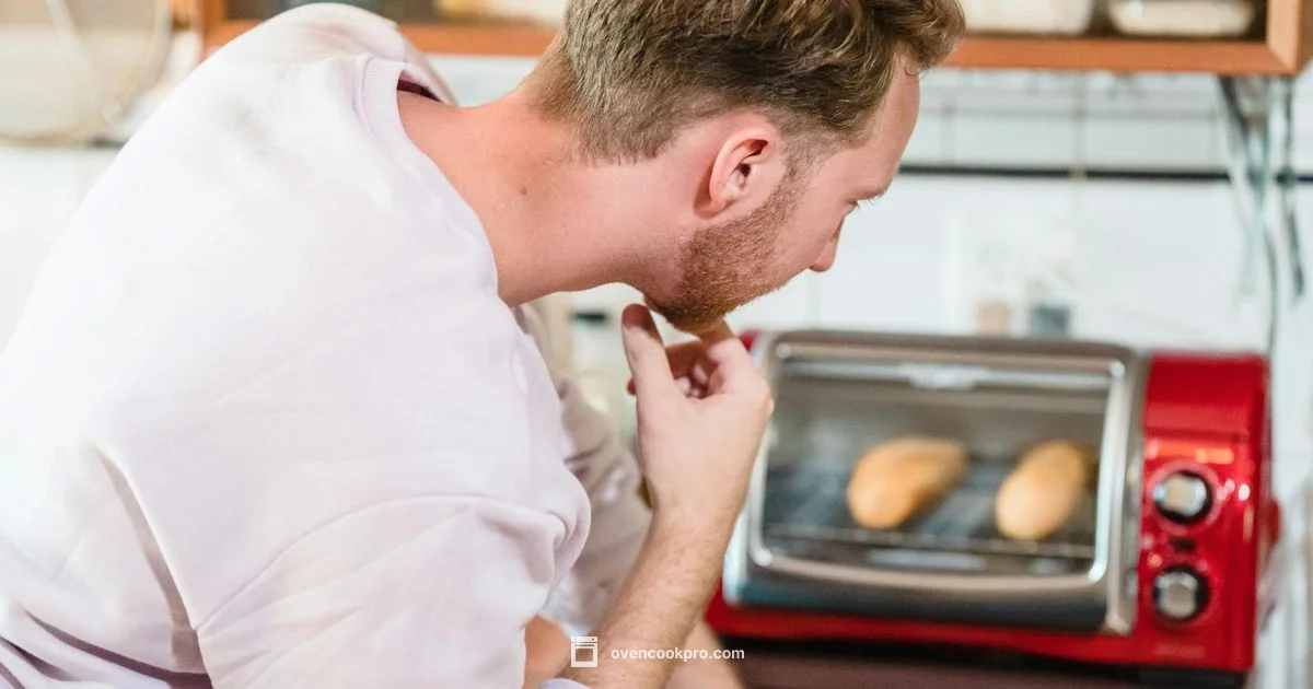Oven vs Toaster Oven - Oven Cook Pro