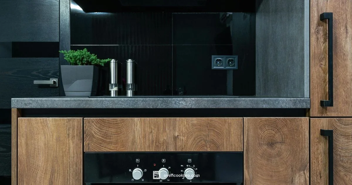 Oven vs Fryer - Oven Cook Pro