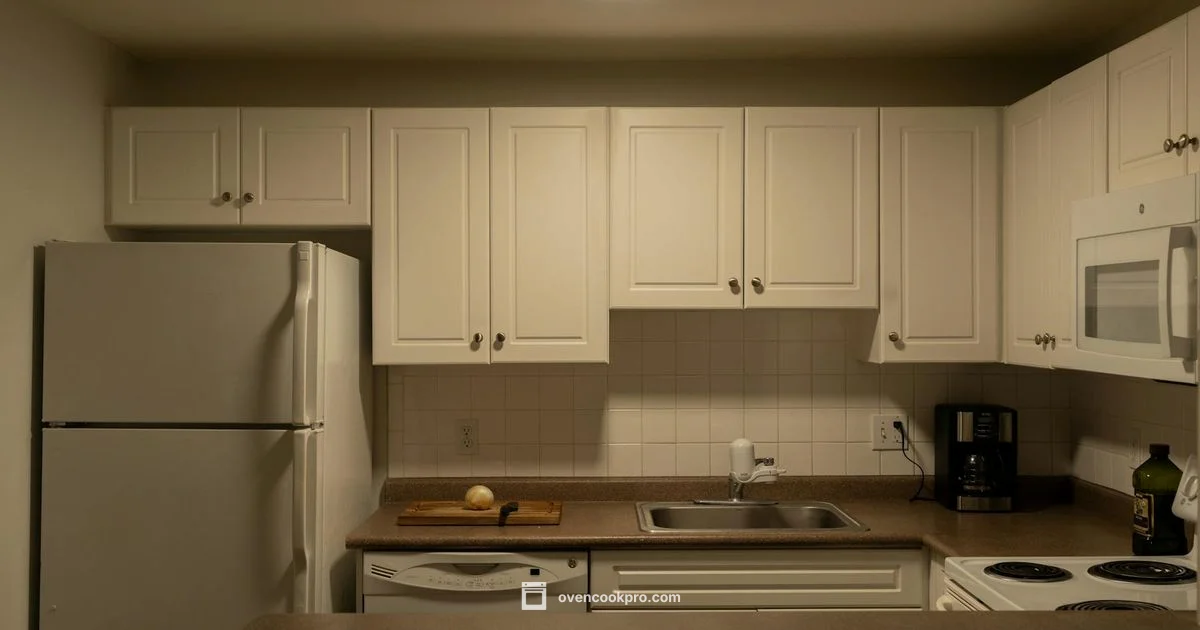 TOA 65 Review - Oven Cook Pro