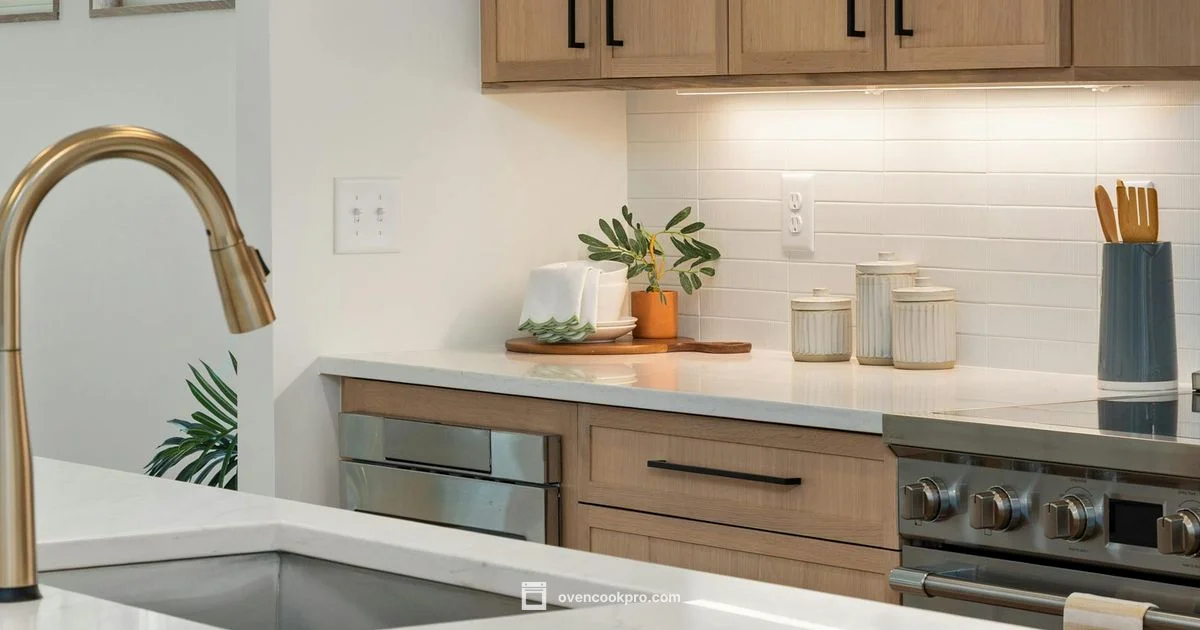 Instant Omni Plus Guide - Oven Cook Pro