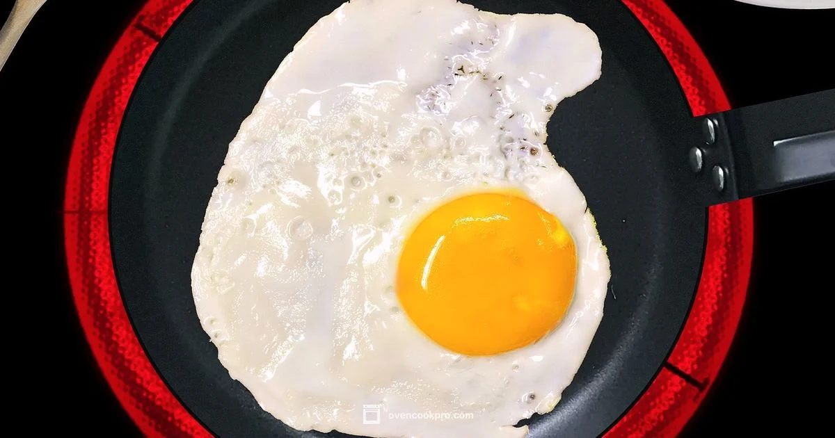 Is Oven Induction Real Is Oven Induction Real - Oven Cook Pro