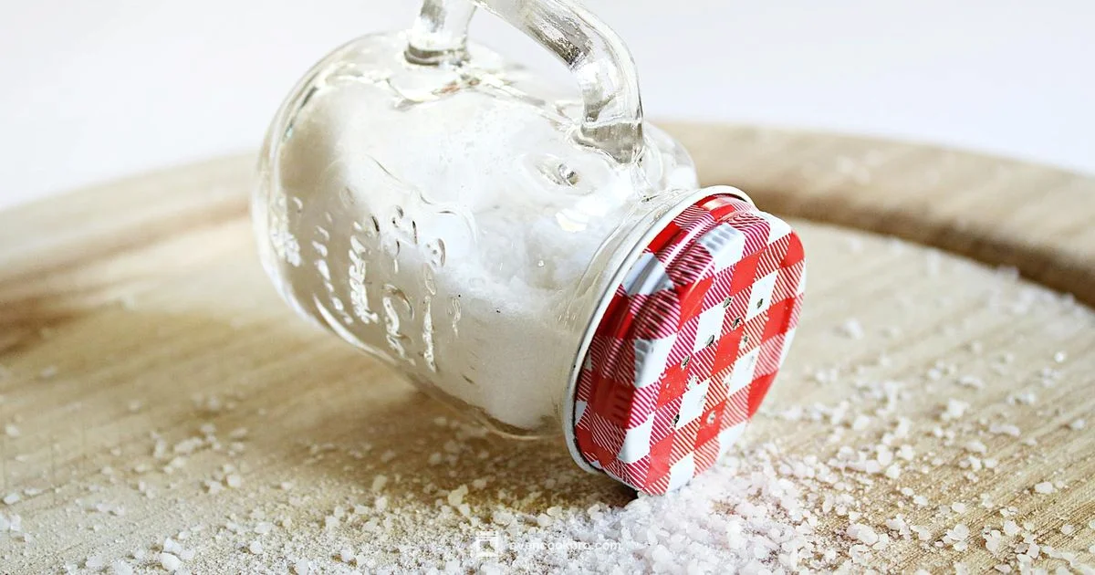 Oven Cleaner Safety - Oven Cook Pro