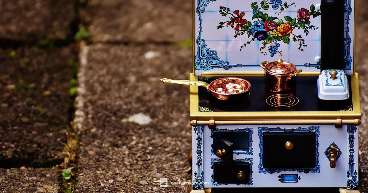 Double Oven Guide - Oven Cook Pro