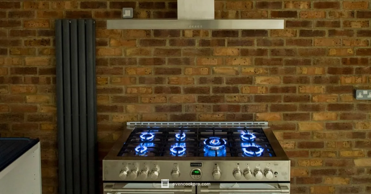 Oven Wire Guide - Oven Cook Pro