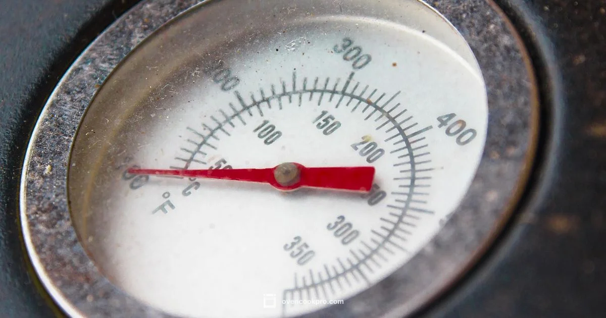 Oven Temperature Units - Oven Cook Pro